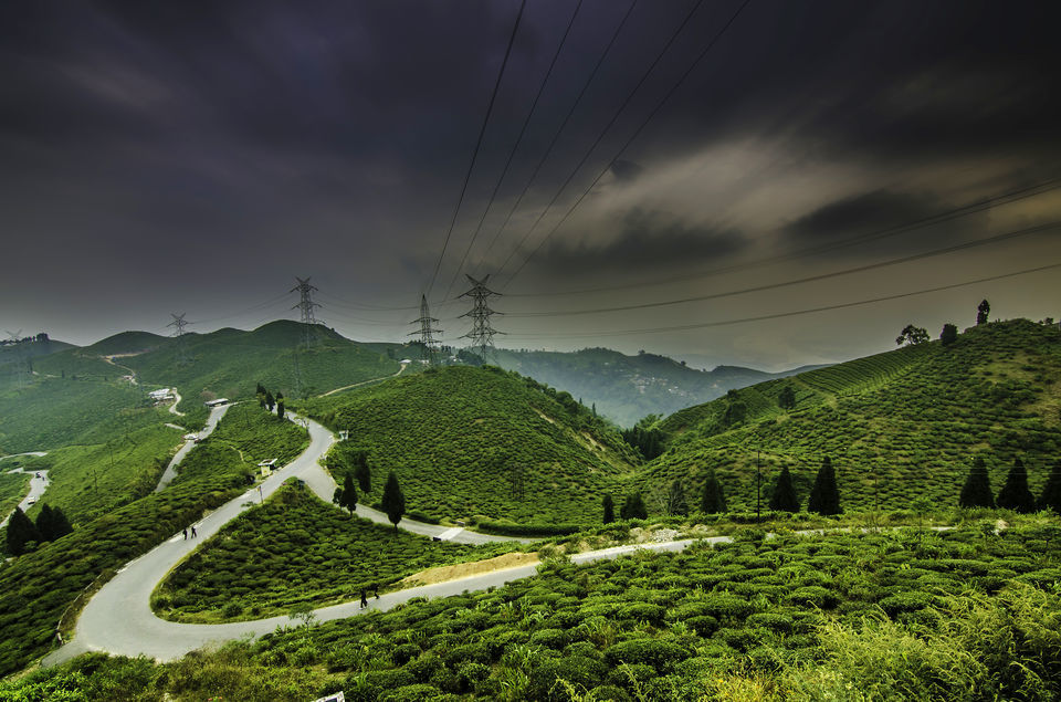 Photo of Breathtaking Hill stations in India you should visit before you breathe your last 36/38 by Priyanka Katiyar