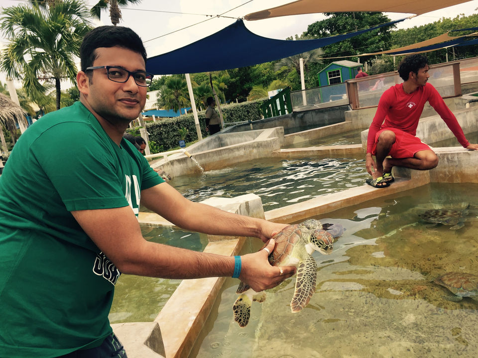 Photo of Cayman Turtle Centre, West Bay by Nikita Bansal