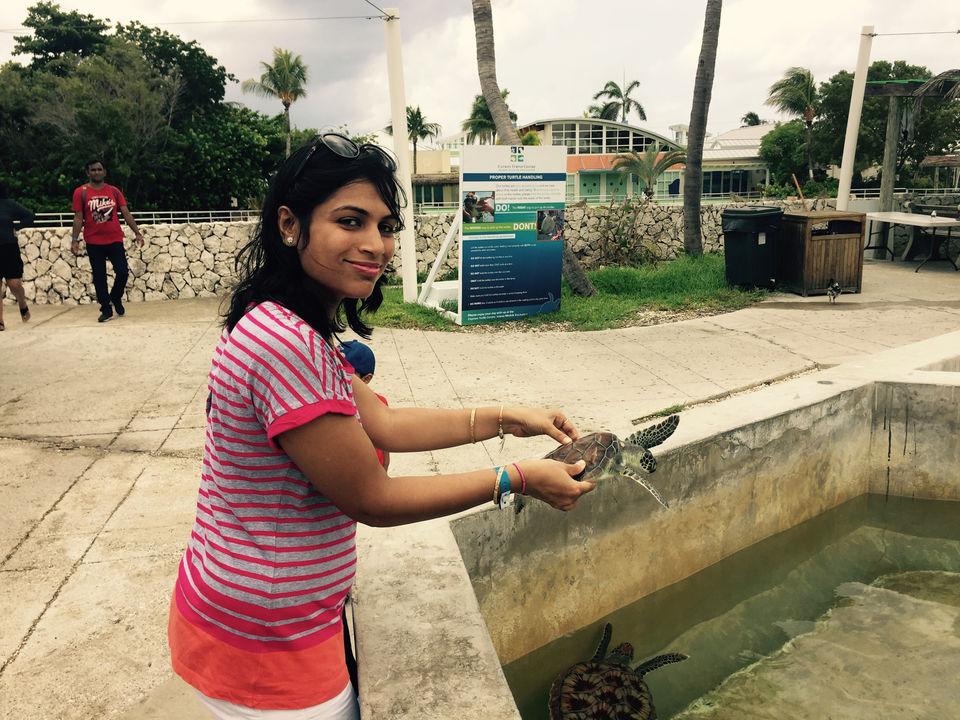 Photo of Cayman Turtle Centre, West Bay by Nikita Bansal