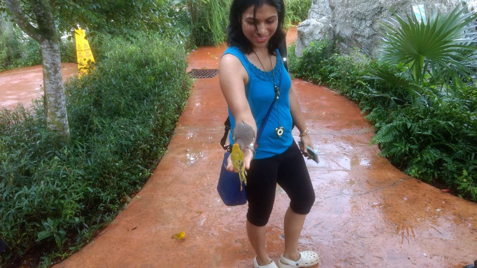 Photo of Cayman Turtle Centre, West Bay by Nikita Bansal