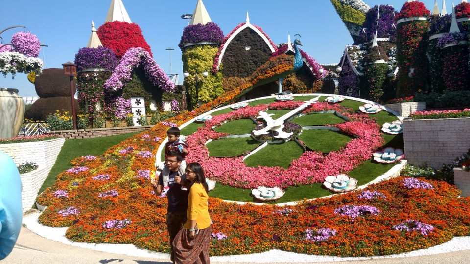 Photo of Miracle Garden 1 - Dubai - United Arab Emirates by Nikita Bansal