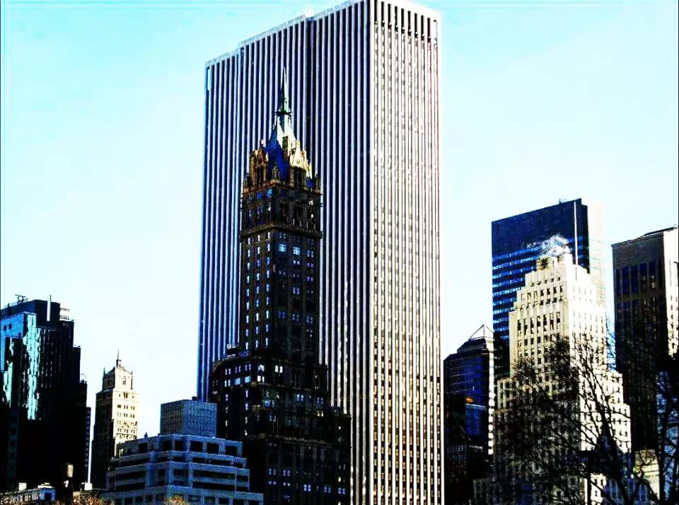 Photo of Central Park, New York, NY, United States by Ankita Borkakoty