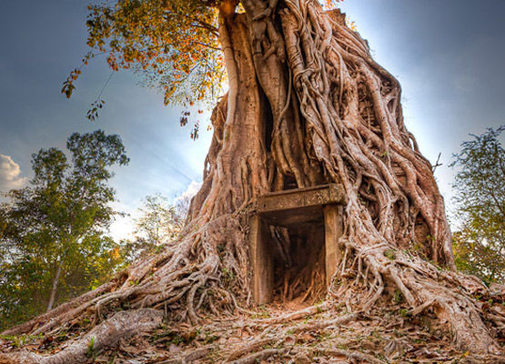 Photo of The 7 Properties of Cambodia Listed into World Heritage as Tangible & Intangible Culture by UNESCO 7/7 by Chheangly TC
