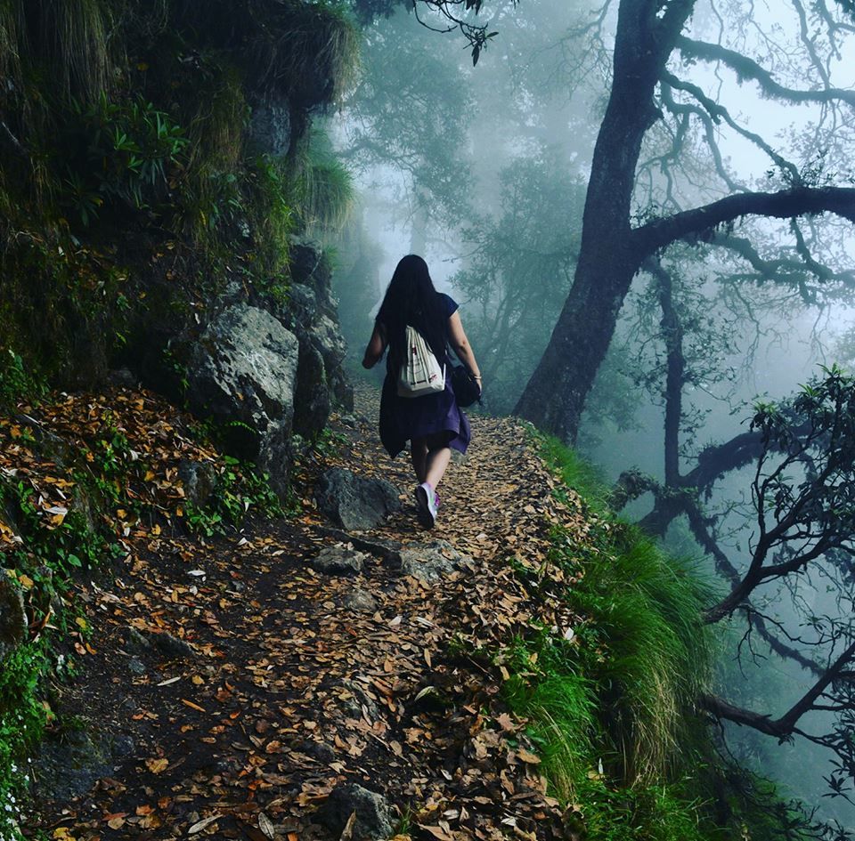 Photo of Triund Trek Trail, Trail to Triund Hill, Dharamshala, Himachal Pradesh, India by Manthan Sharma
