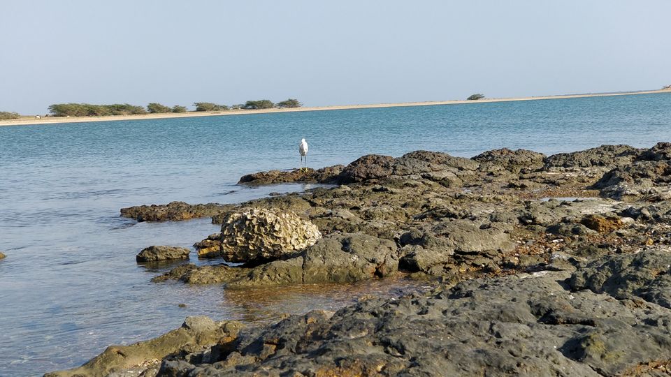 Photo of Solo road trip | Dwarka-Somnath-Diu Gujarat by Dhruvish Chaudhari
