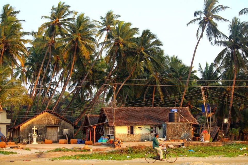 Photo of Tarkarli: Perfect for a weekend trip to break the monotonicity of day to day life 2/8 by Satyajit More