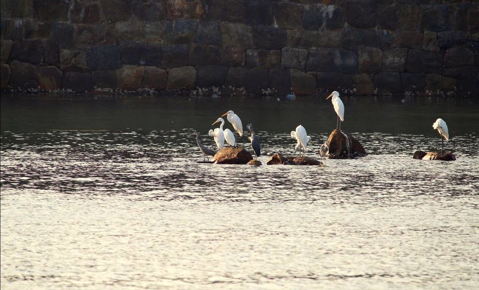 Photo of Tarkarli: Perfect for a weekend trip to break the monotonicity of day to day life 4/8 by Satyajit More