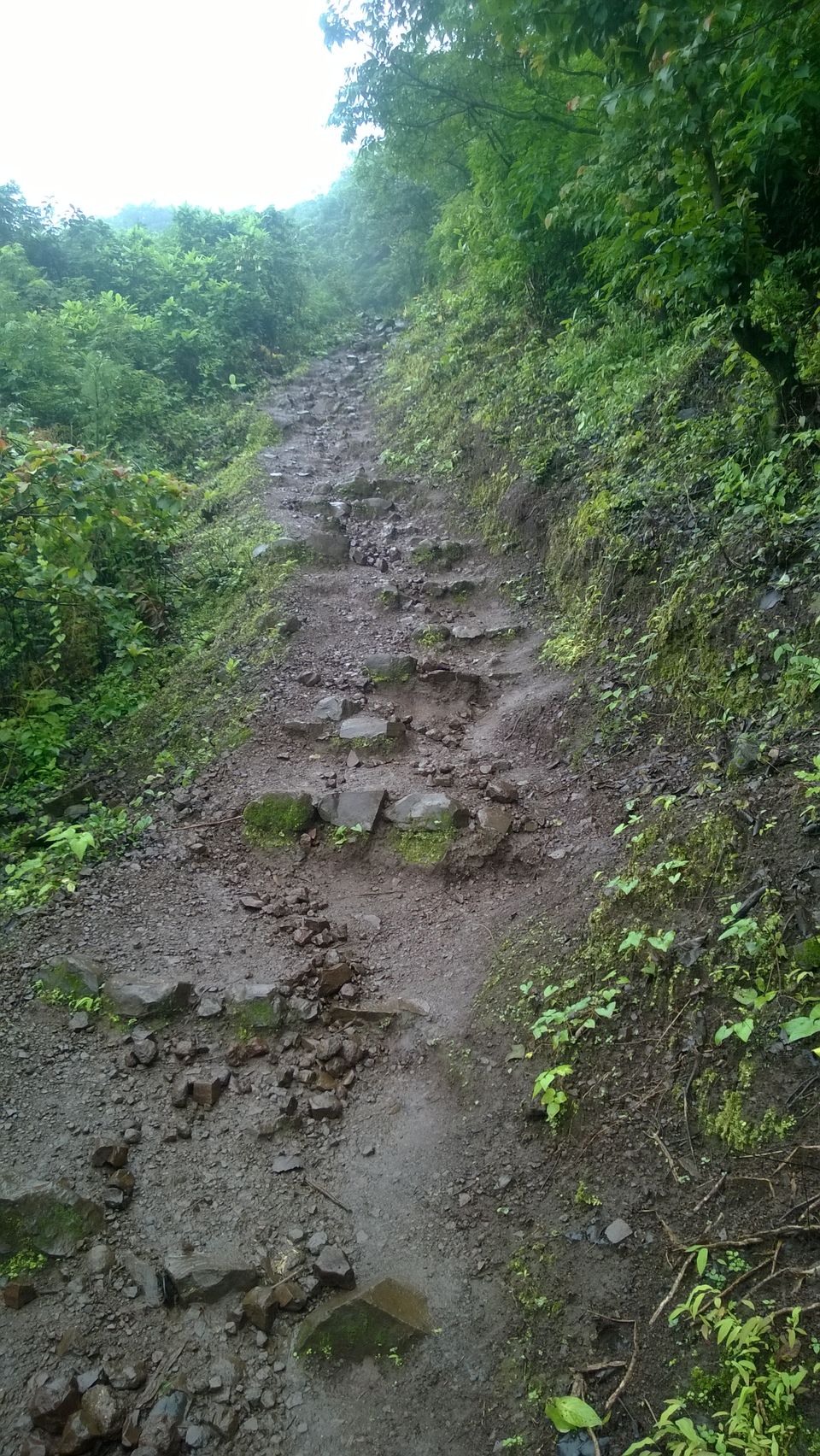 Photo of Tikona Fort, Tikona hiking Trail, Pune, Maharashtra, India by YOGESHK