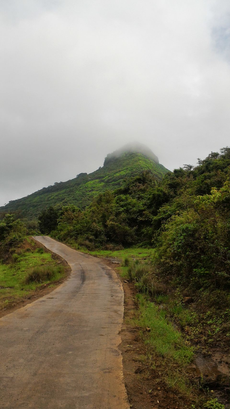 Photo of Mansoon Trek To Tikona by YOGESHK