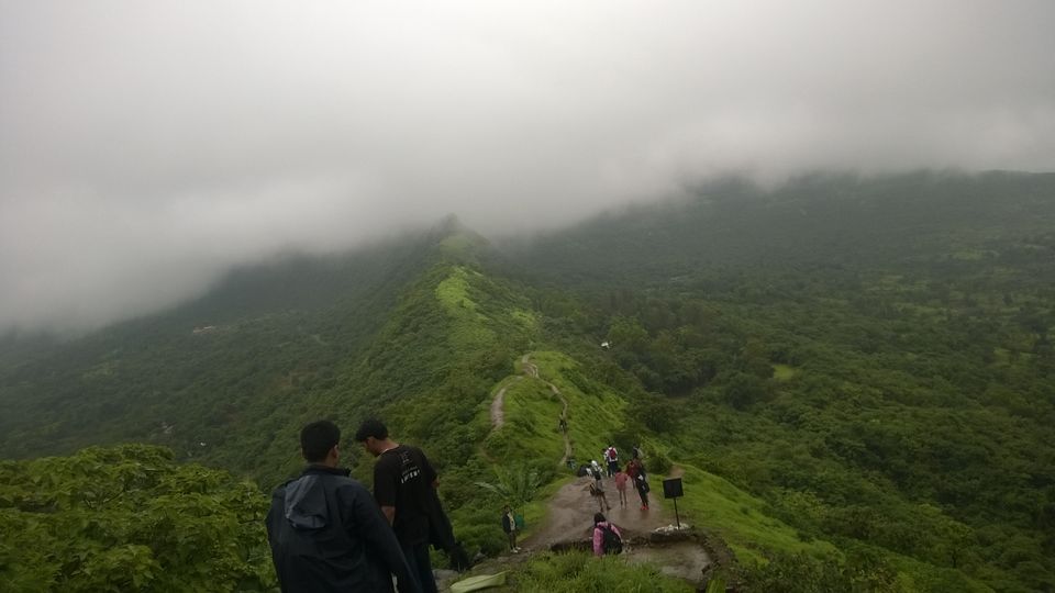 Photo of Mansoon Trek To Tikona by YOGESHK
