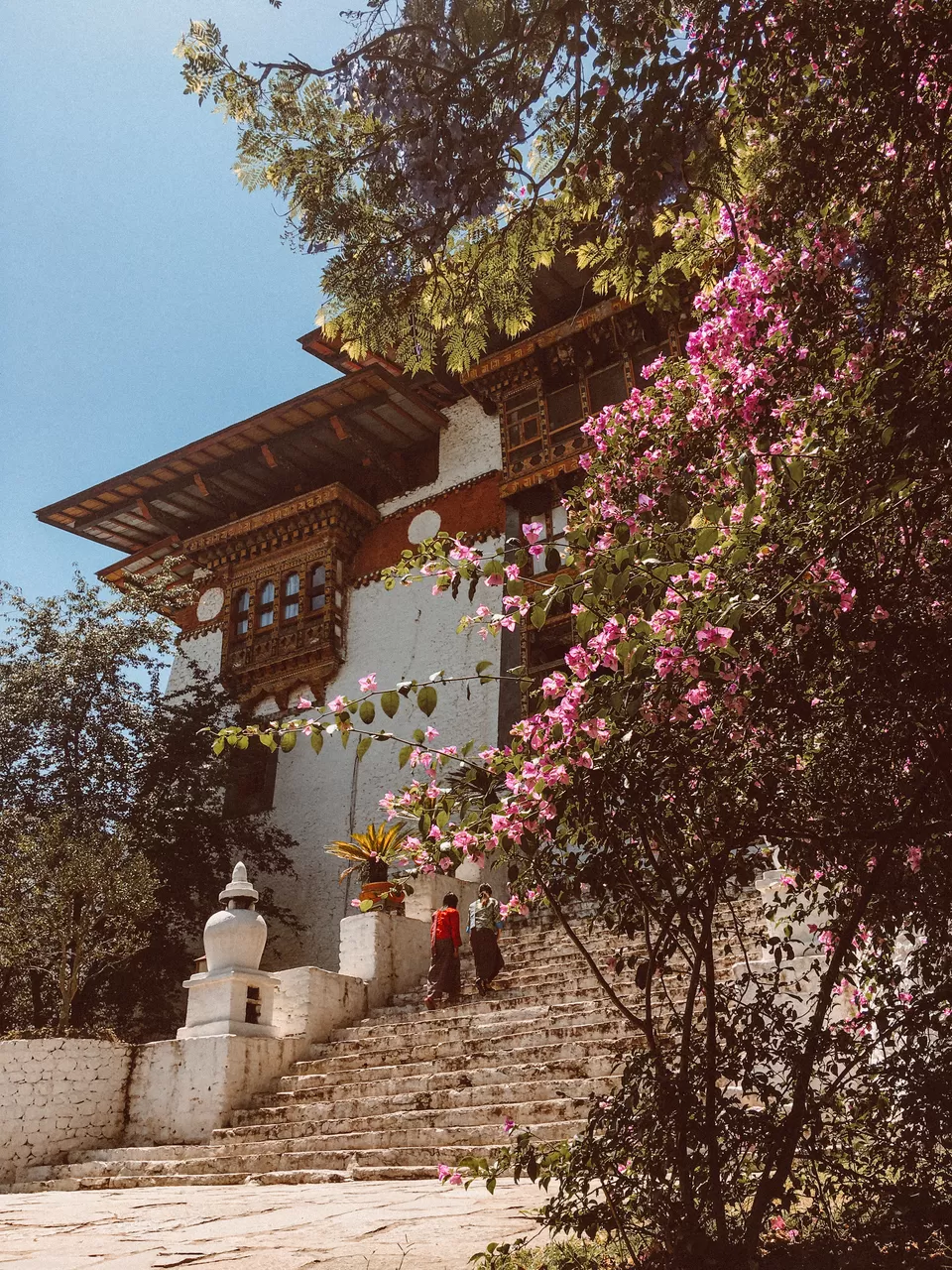 Photo of Punakha Dzong, Bhutan by Raashi Singhi