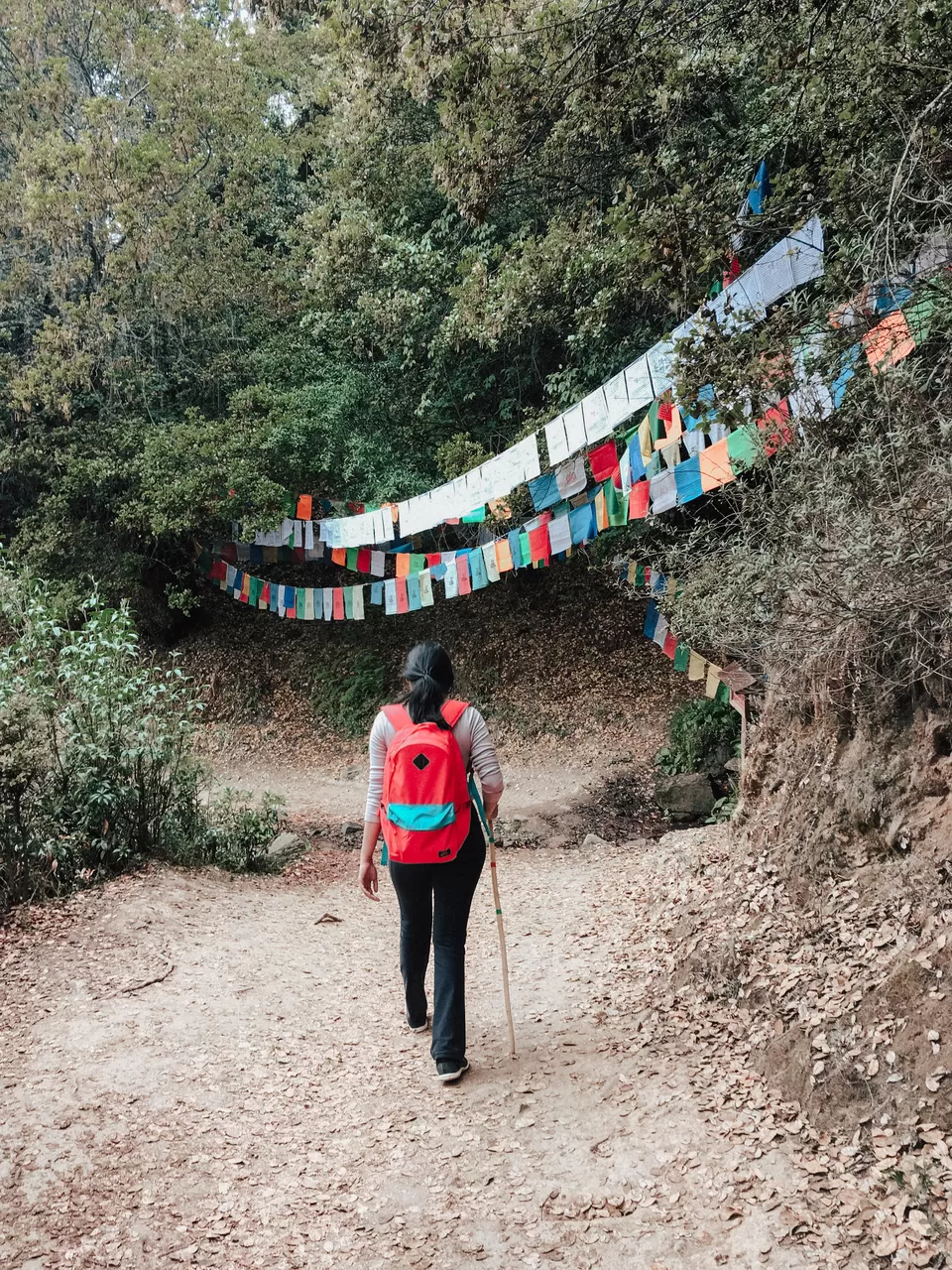 Photo of Paro, Bhutan by Raashi Singhi
