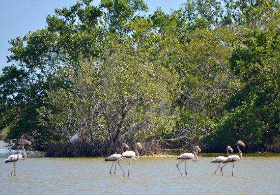 Photo of 8 Attractive Locations to Visit in Cuba 2/9 by Phoebe Woods