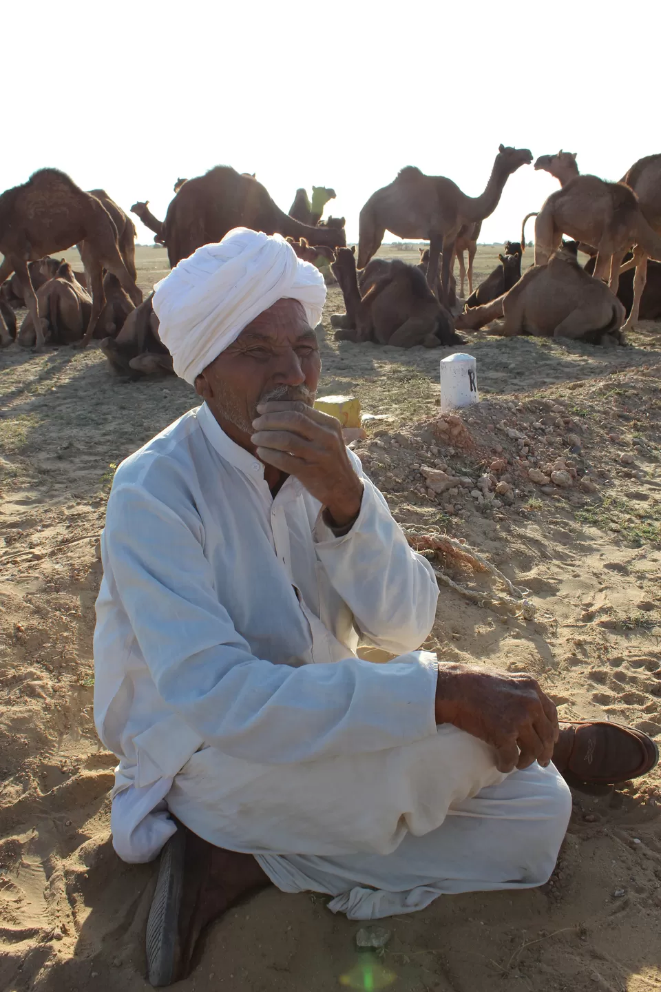 Photo of Bikaner, Rajasthan, India by @Flight_n_flipflops