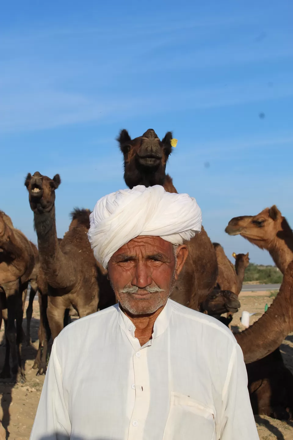 Photo of Bikaner, Rajasthan, India by @Flight_n_flipflops