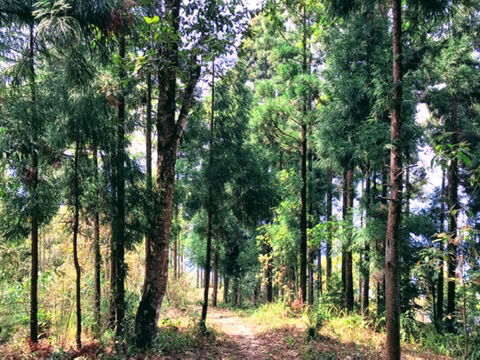 Photo of Offbeat Places In Meghalaya by Jai Paul
