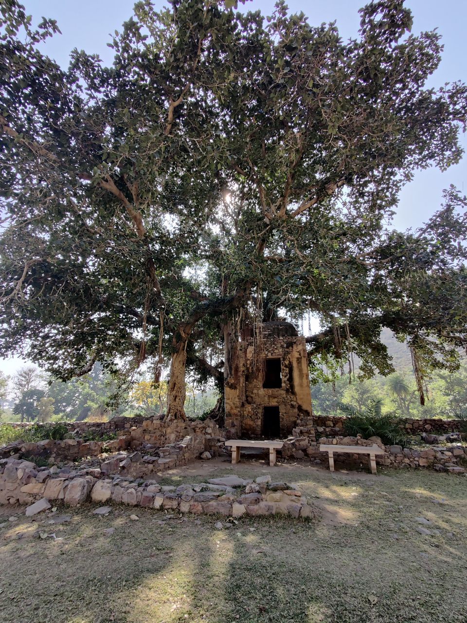 Photo of Bhangarh Fort - Scary or not?? by Deepak Kapoor