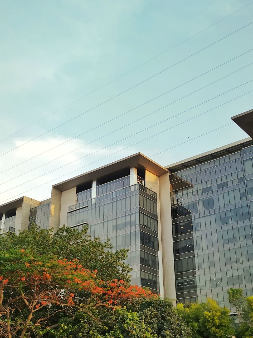 Photo of Bangalore is on flame and the views are breathtaking. #flametree #gulmohar 7/14 by The Girl In Orange