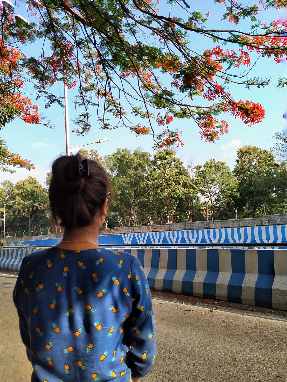 Photo of Bangalore is on flame and the views are breathtaking. #flametree #gulmohar 11/14 by The Girl In Orange