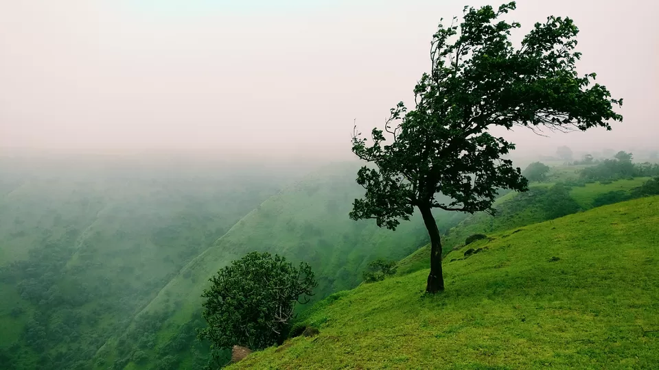Photo of This Getaway of Green Valleys and Sparkling Waterfalls is Western India's Best-kept Secret! by Numrata Navada