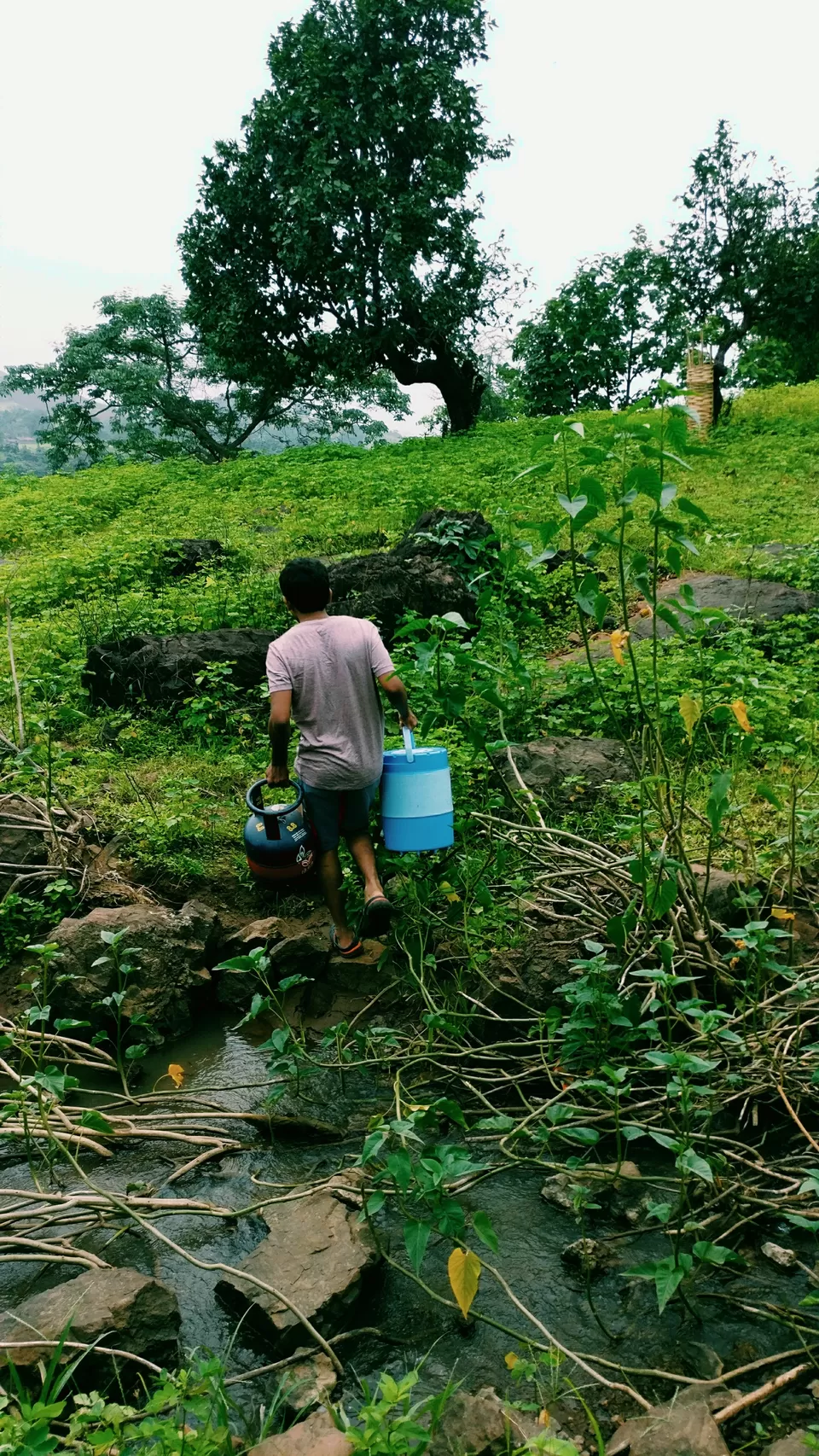 Photo of Dahel, Maharashtra, India by Numrata Navada