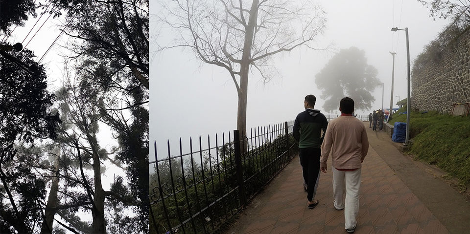Photo of Coaker's Walk, Kodaikanal, Tamil Nadu, India by Sudo