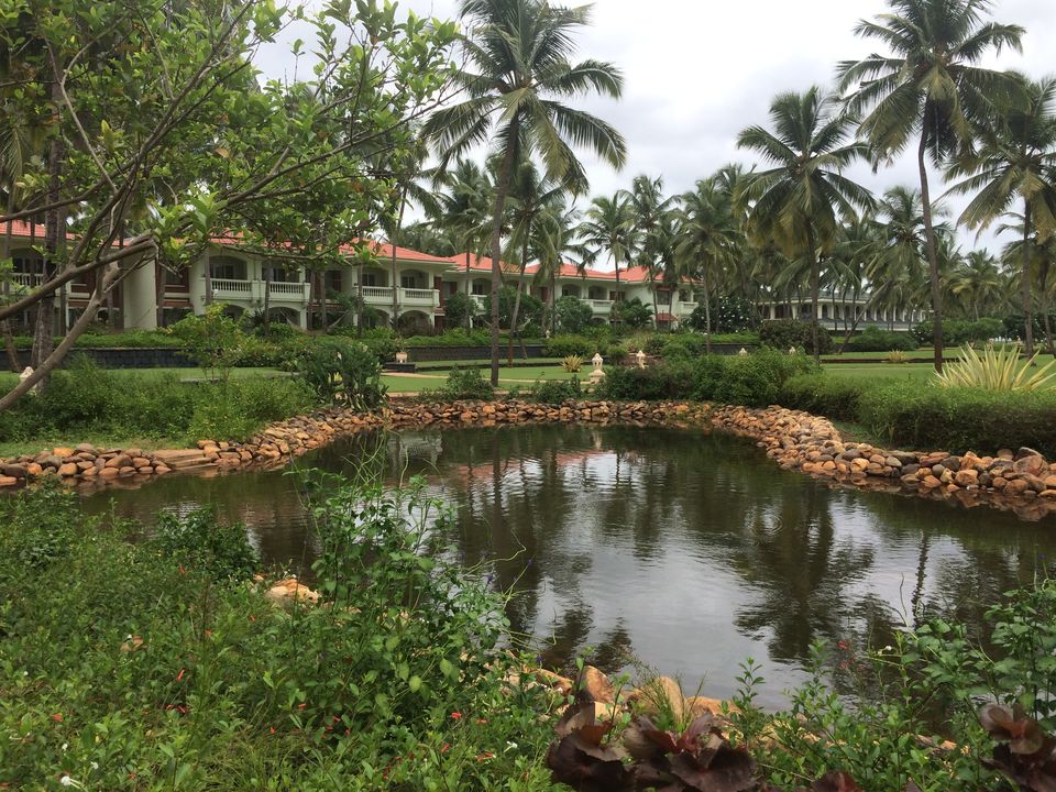 Photo of South Goa, Goa, India by Priyanka Tawaniya