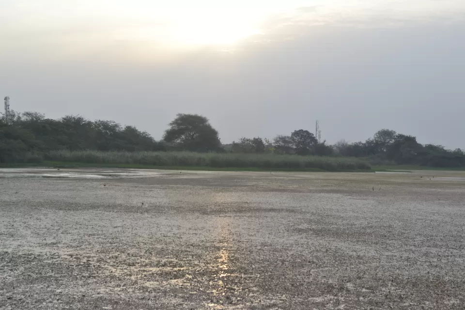 Photo of Gavier Lake, Surat, Gujarat, India by Priyanka Tawaniya