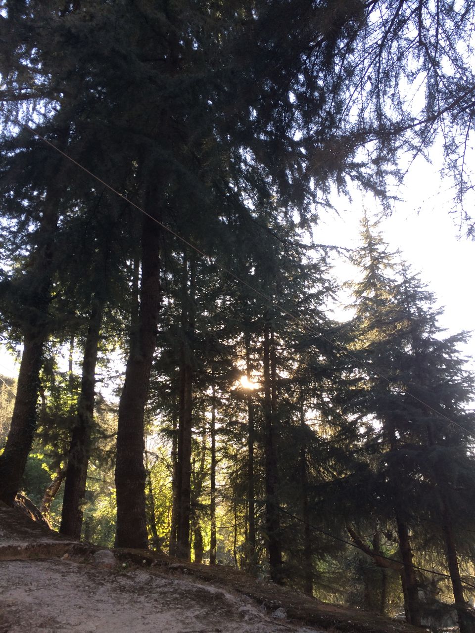 Photo of McLeod Ganj, Dharamshala, Himachal Pradesh, India by Priyanka Tawaniya