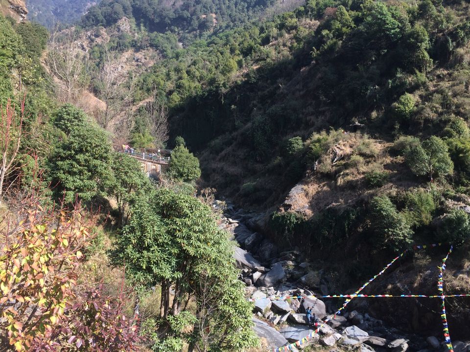 Photo of McLeod Ganj, Dharamshala, Himachal Pradesh, India by Priyanka Tawaniya