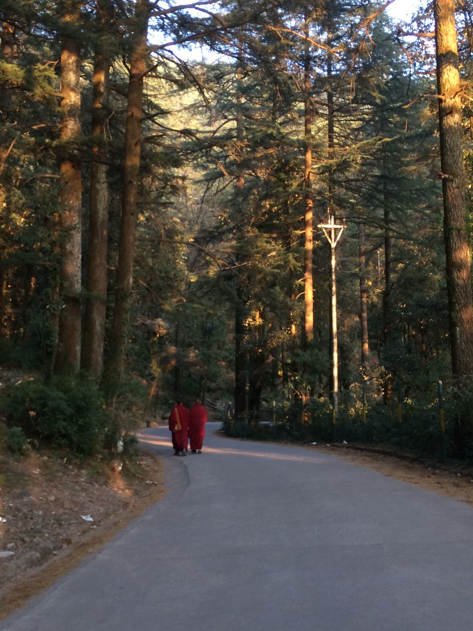 Photo of McLeod Ganj, Dharamshala, Himachal Pradesh, India by Priyanka Tawaniya