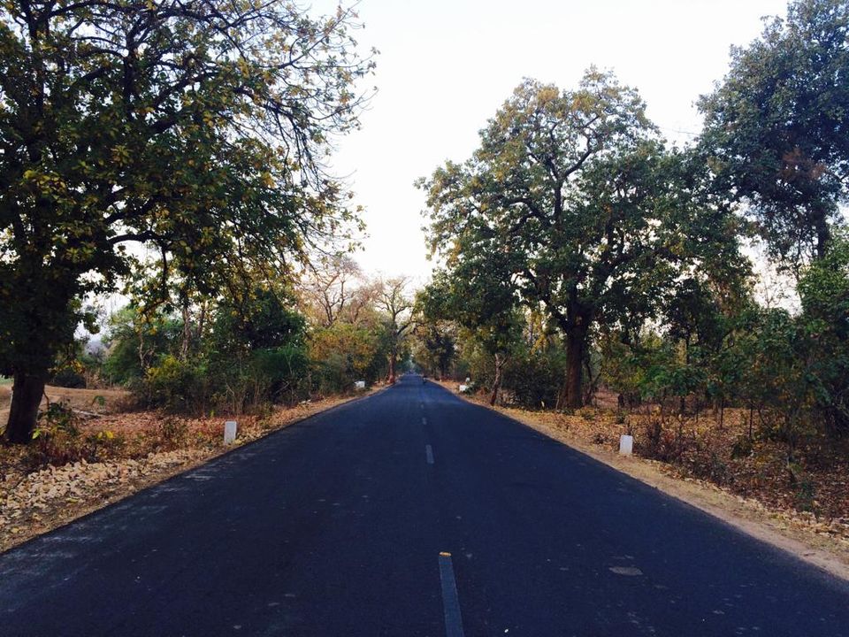 Photo of polo forest himmatnagar, Vijayanagar, Gujarat, India by Priyanka Tawaniya