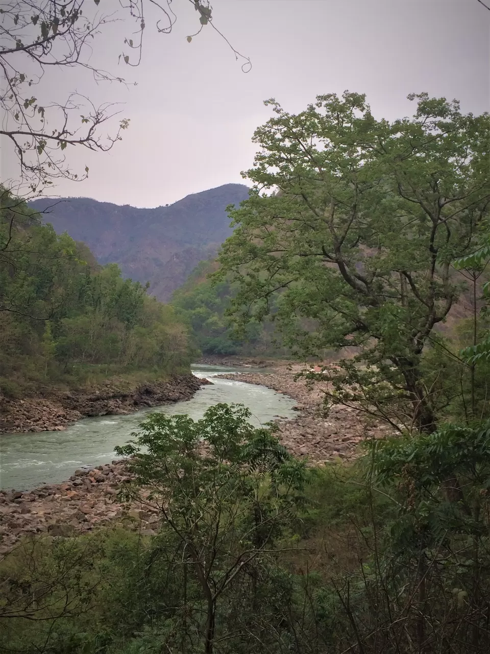 Photo of RISHIKESH- A must visit Destination by Priyanka Tawaniya