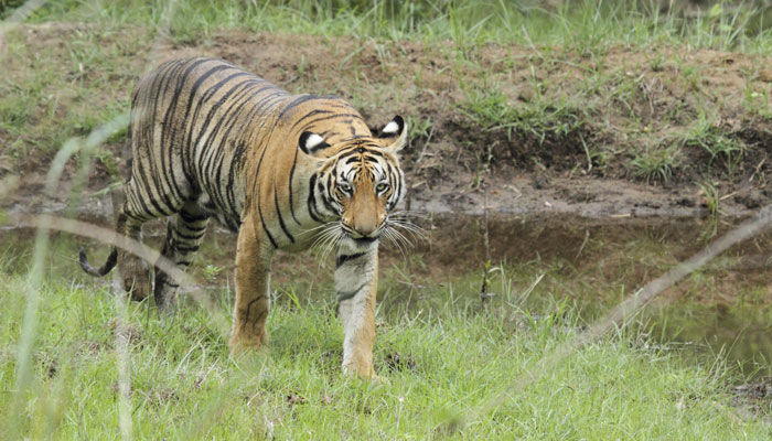 Photo of Golden Triangle Tour- One of the most sought after 2/3 by Shubham Varshney
