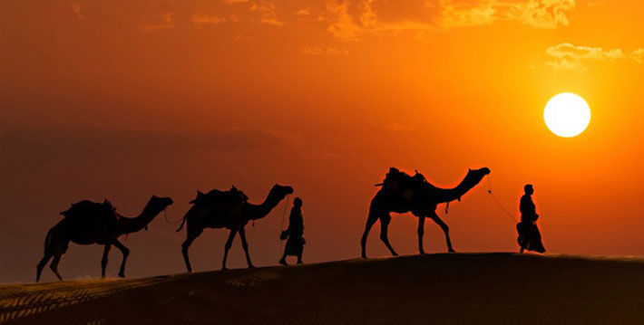 Photo of Itinerary of Incredible Rajasthan Tour 5/8 by Shubham Varshney