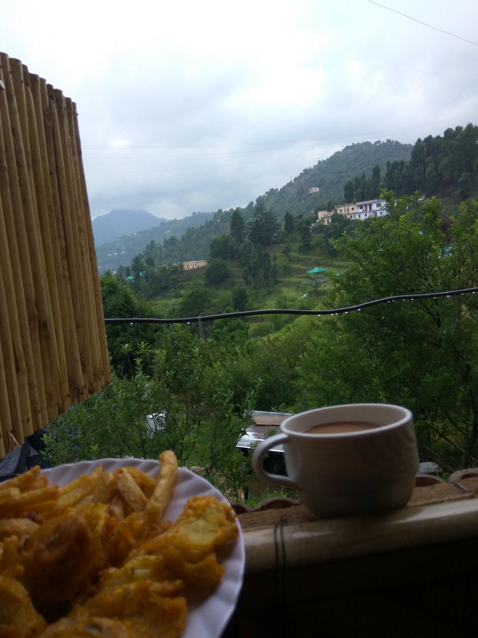 Photo of Kanatal: An uplifting weekend getaway for your weary heart by Ankita Rajeshwari