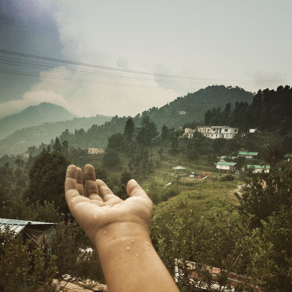 Photo of Kanatal, Kaudia Range, Uttarakhand, India by Ankita Rajeshwari