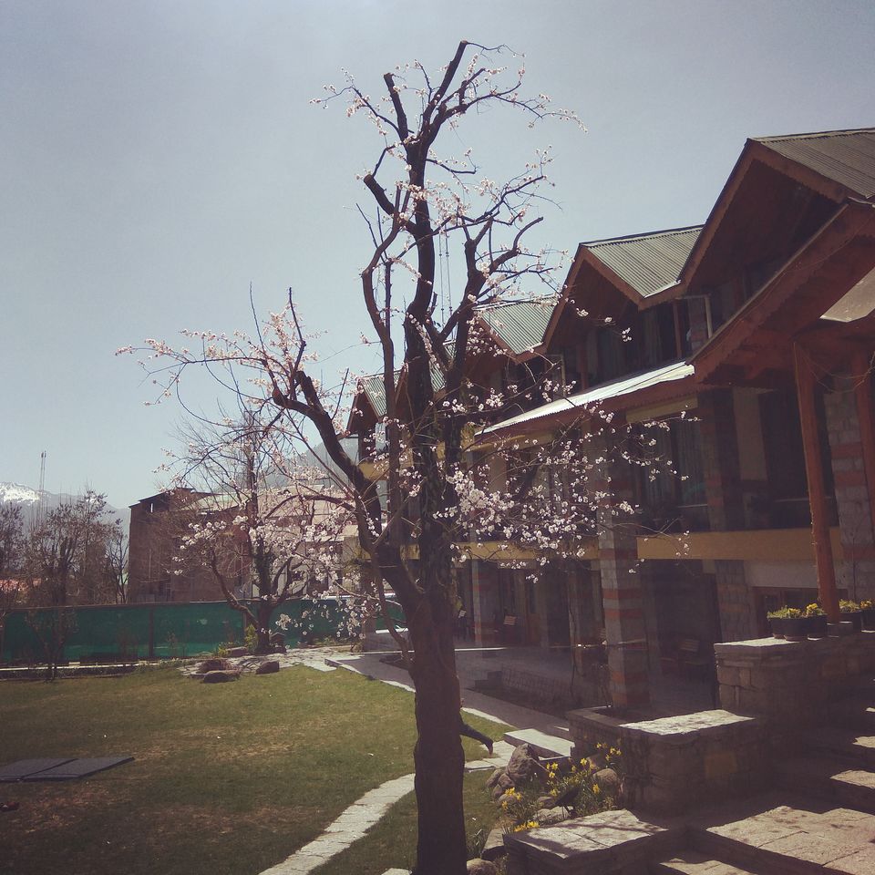 Photo of The Johnsons Cafe and Hotel, Manali, Himachal Pradesh, India by Ankita Rajeshwari