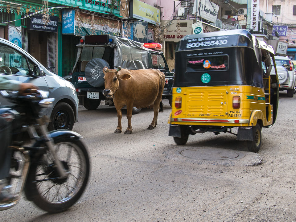Photo of A Traveler's Guide to Shopping in Chennai's Pondy Bazaar and T Nagar by Jane Mountain