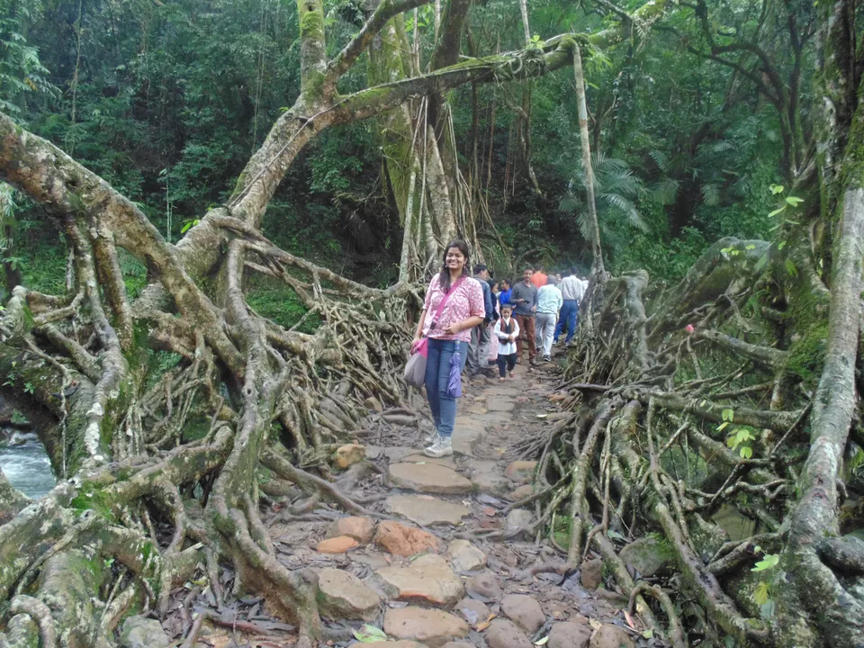 Photo of Living Root Bridge, Meghalaya, India by Abha Singh