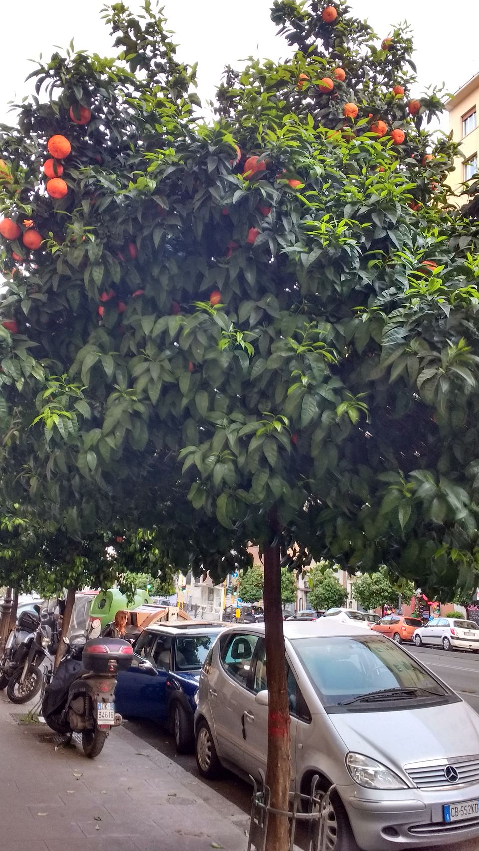 Photo of Rome- You cannot miss this place in the world by Abha Singh
