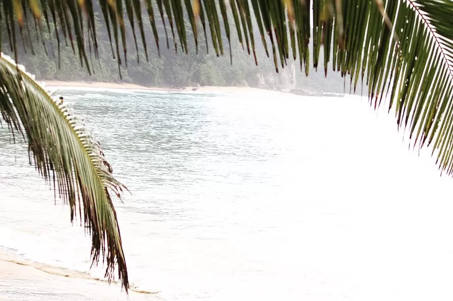 Photo of Neil Island By Nomad Nomads!! 