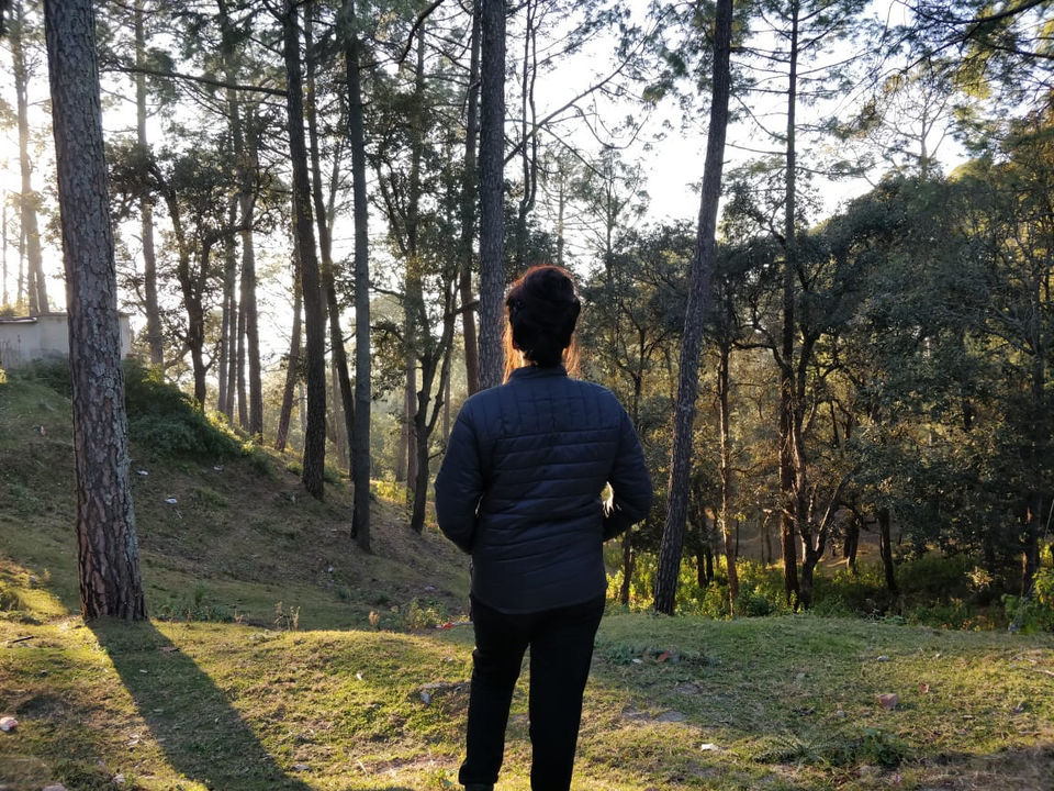 Photo of West View Hotel, Pandey Kota, Ranikhet, Uttarakhand, India by Nomad Nomads!!