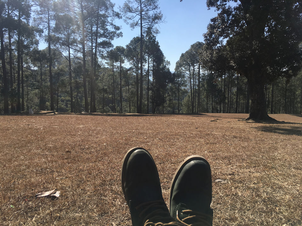 Photo of Mesmerising:Ranikhet New Year Spl. by Nomad Nomads!!