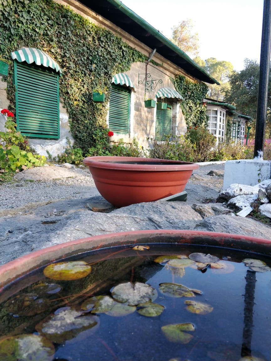 Photo of West View Hotel, Pandey Kota, Ranikhet, Uttarakhand, India by Nomad Nomads!!