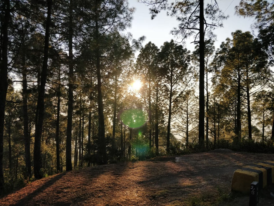 Photo of West View Hotel, Pandey Kota, Ranikhet, Uttarakhand, India by Nomad Nomads!!