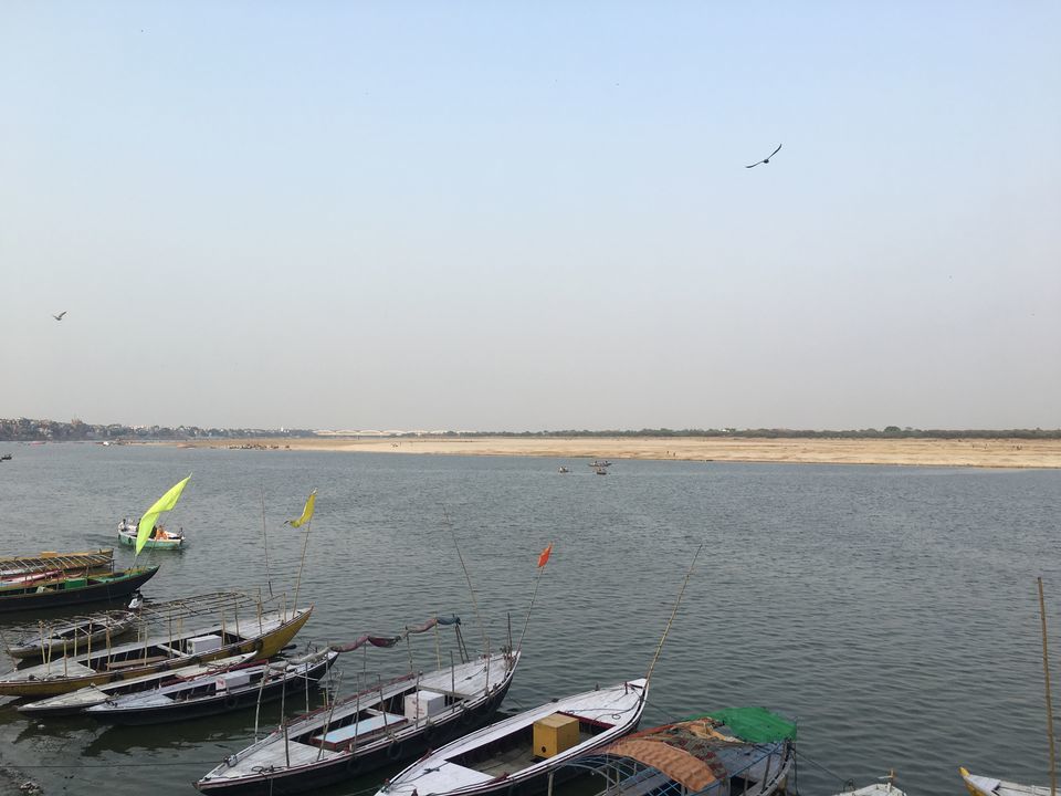 Photo of The Whole Nine Yards On Benaras by Cocoa & Jasmine