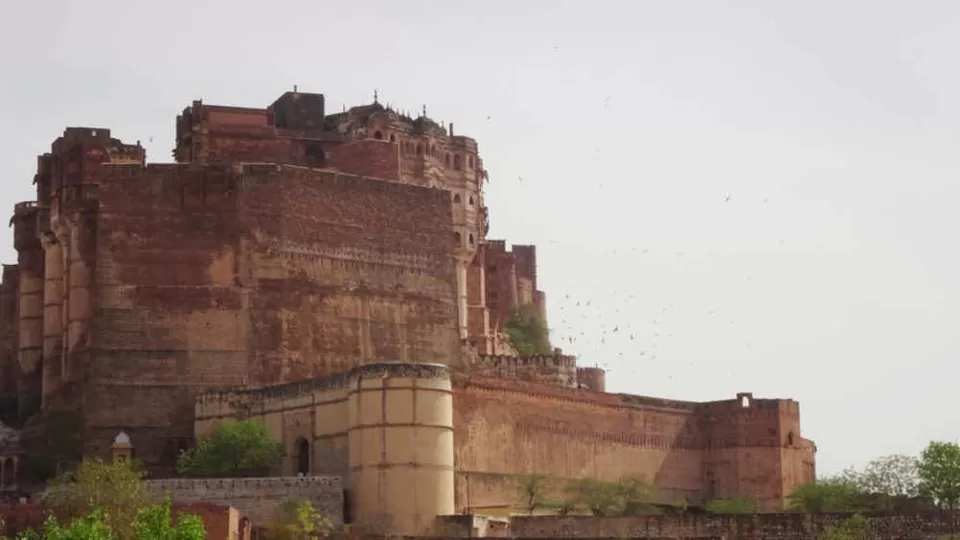 Photo of Jaipur, Rajasthan, India by Neha Bajaj