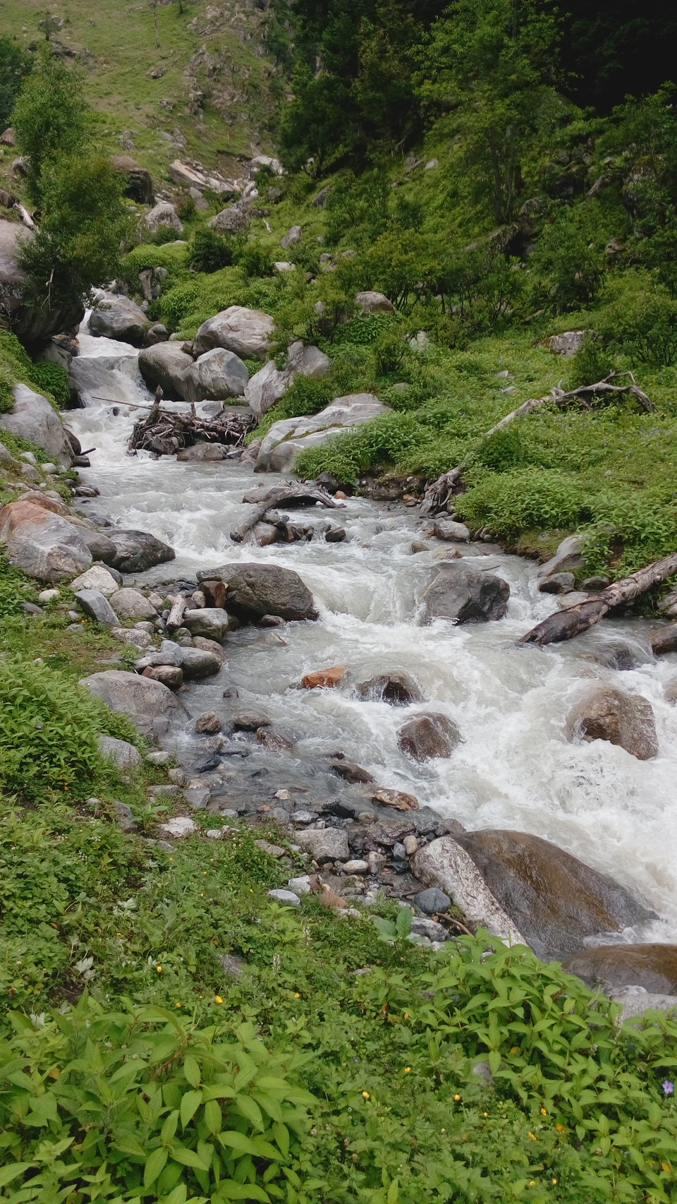 Photo of Muling, Himachal Pradesh, India by bharadwaj c