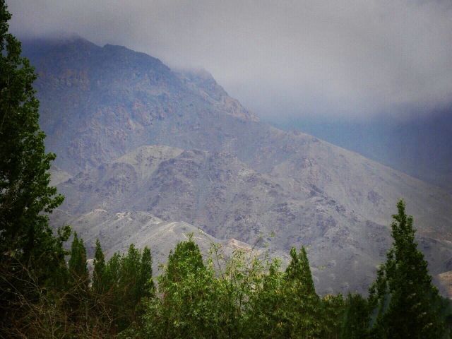Photo of Leh by Vrushali Ketkar